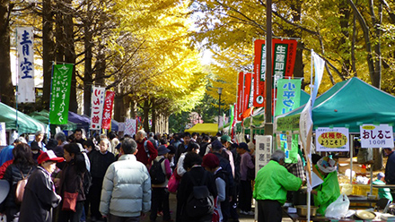 収穫祭の写真